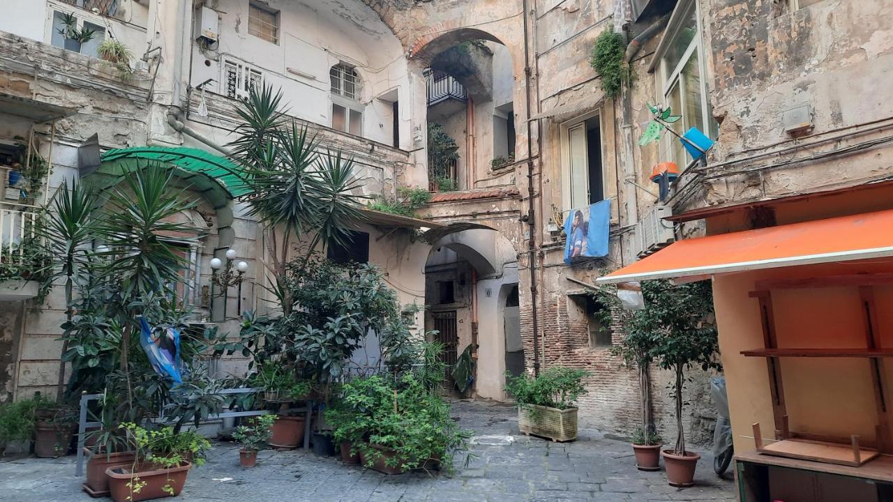 White 2 San Gregorio 14 Appartement